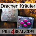 Drachen Kräuter 38